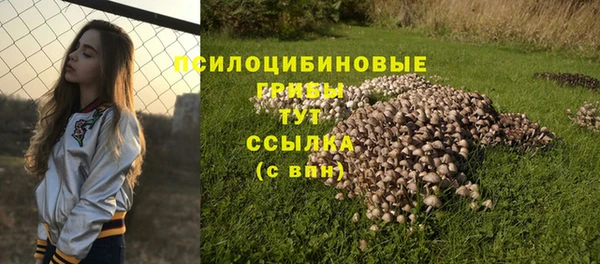 марки nbome Армянск