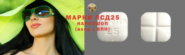 дурь Губаха