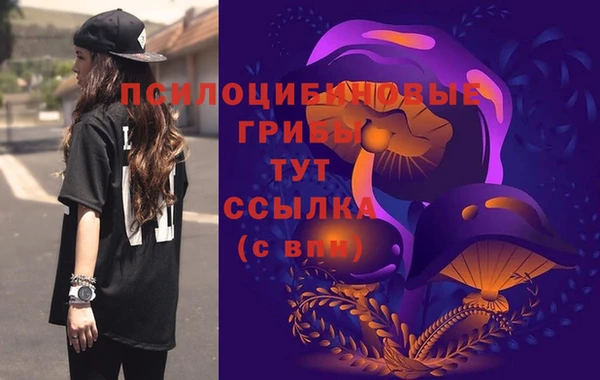 круглые Аркадак