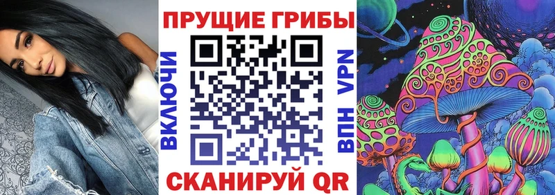 цены наркотик  Кологрив  Псилоцибиновые грибы мицелий 